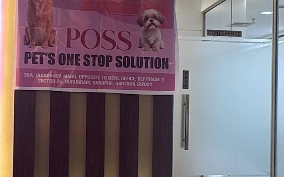 POSS - Pet's One Stop Solution-Pet Spa in Gurgaon | Pet Grooming Near You