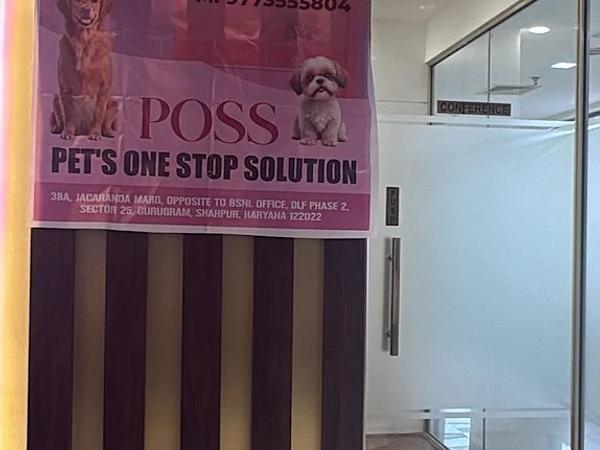 POSS - Pet's One Stop Solution-Pet Spa in Gurgaon | Pet Grooming Near You
