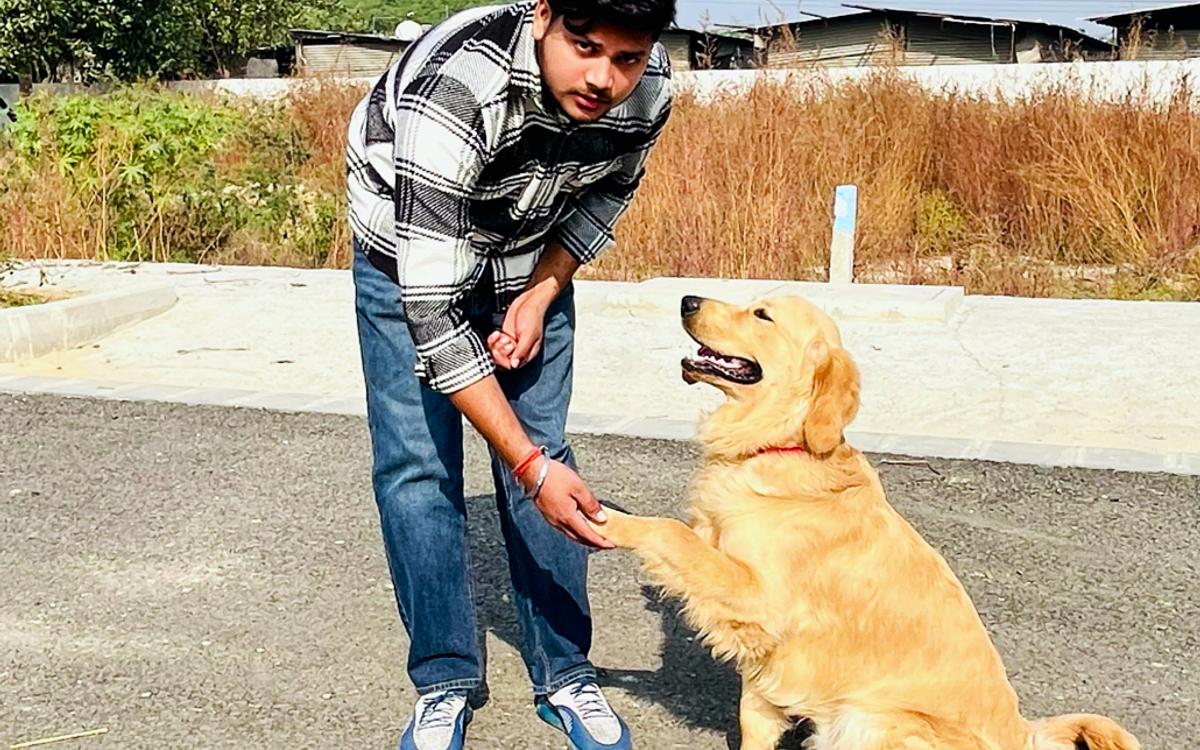 Pankaj dog trainer &boarding house