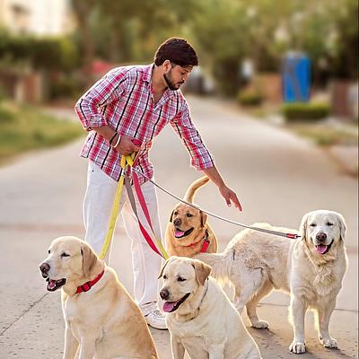 Pankaj dog trainer &boarding house