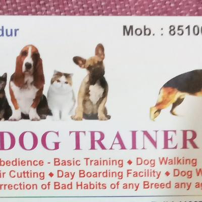 Dog training services