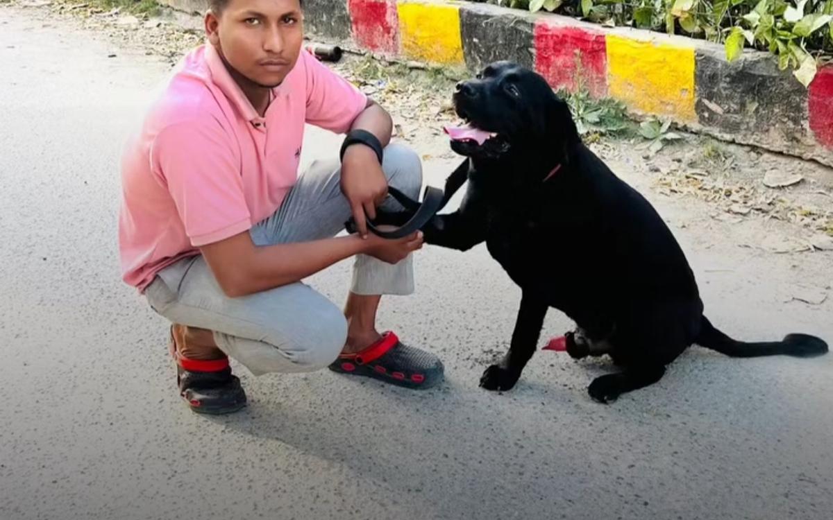Yash Dog training