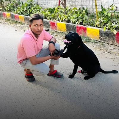Yash Dog training