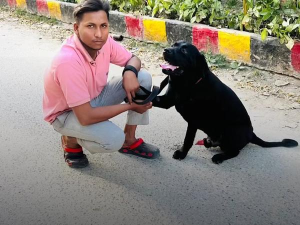 Yash Dog training