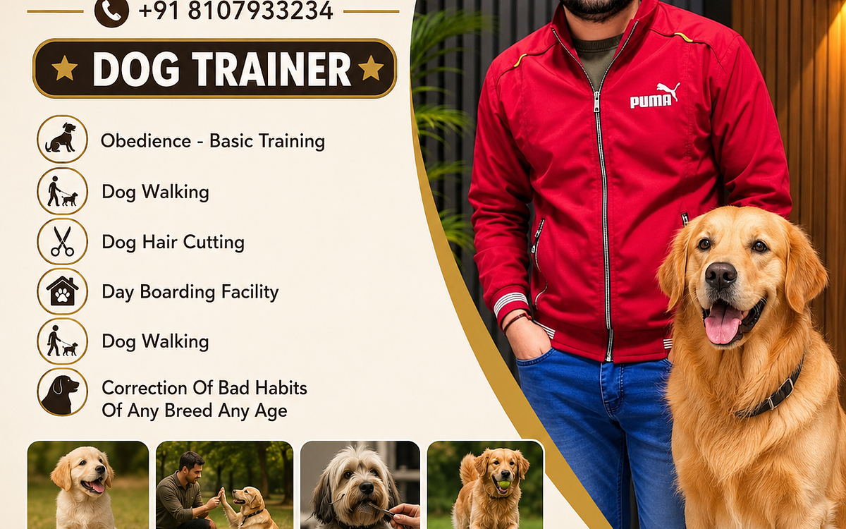 Monu Sharma Dog Training & Walking Service