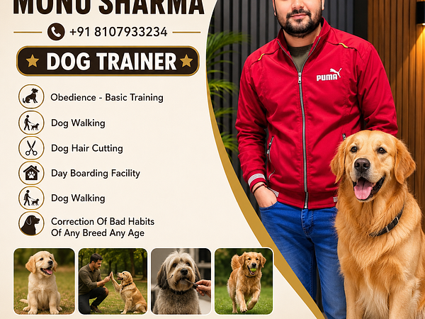 Monu Sharma Dog Training & Walking Service