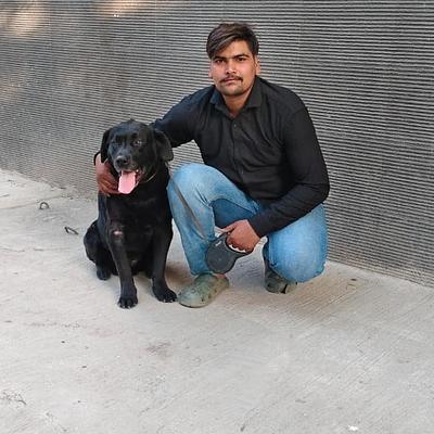 Yash Dog training