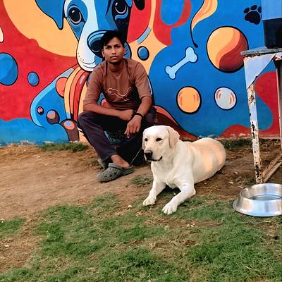 Yash Dog training