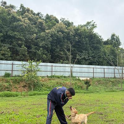 Shooter dog training academy