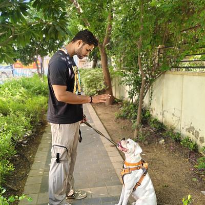 Elite Dog Training - Gurugram