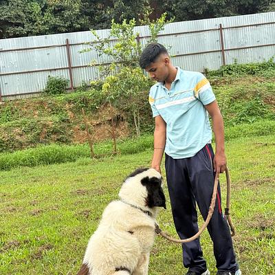 Shooter dog training academy