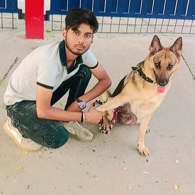 Advanced dog training