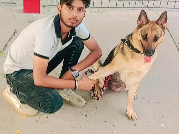 Advanced dog training