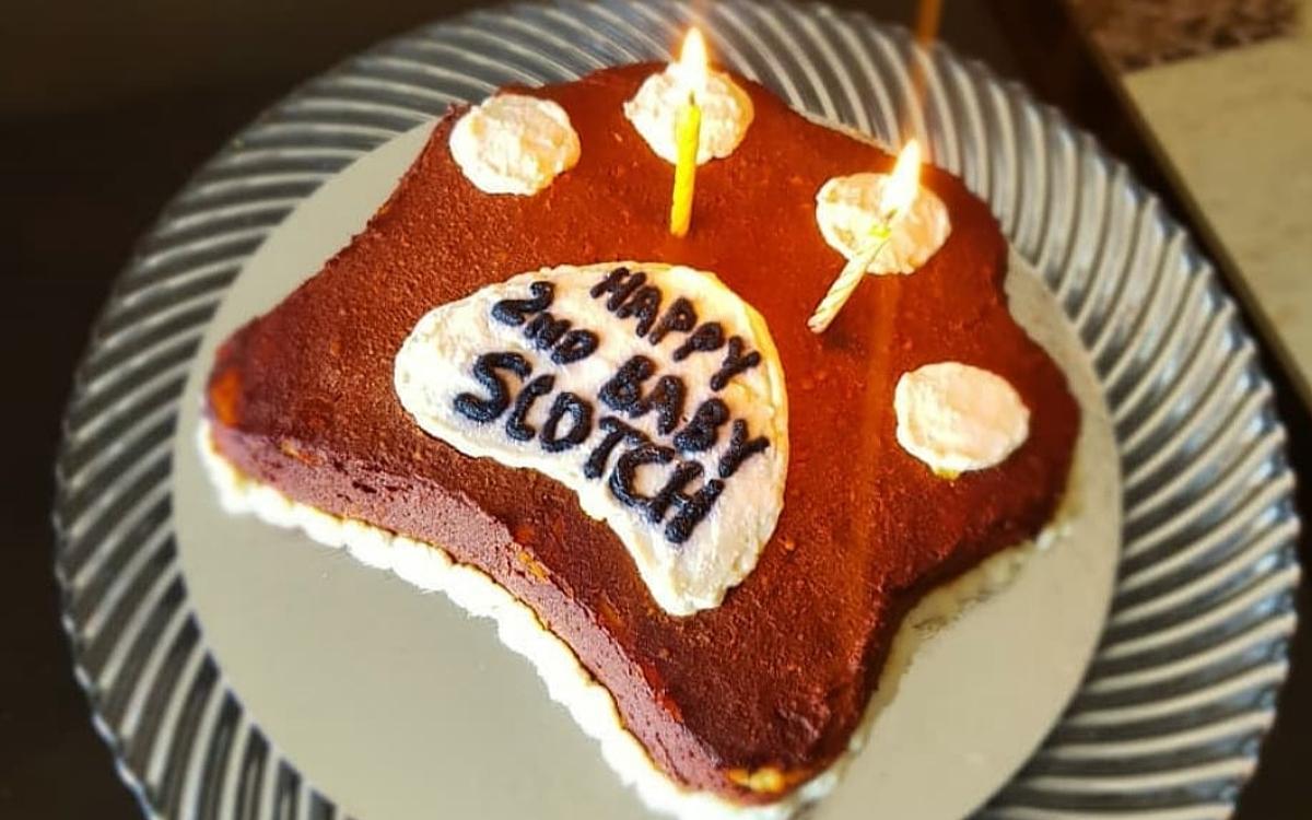 The Floof Pet Bakery ( Gourmet Dog cakes and more , made to order)