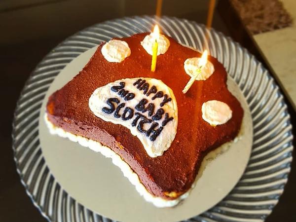 The Floof Pet Bakery ( Gourmet Dog cakes and more , made to order)