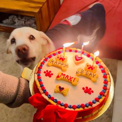 The Floof Pet Bakery ( Gourmet Dog cakes and more , made to order)
