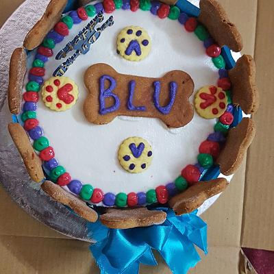 The Floof Pet Bakery ( Gourmet Dog cakes and more , made to order)