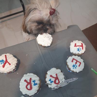 The Floof Pet Bakery ( Gourmet Dog cakes and more , made to order)