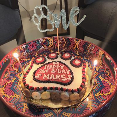 The Floof Pet Bakery ( Gourmet Dog cakes and more , made to order)