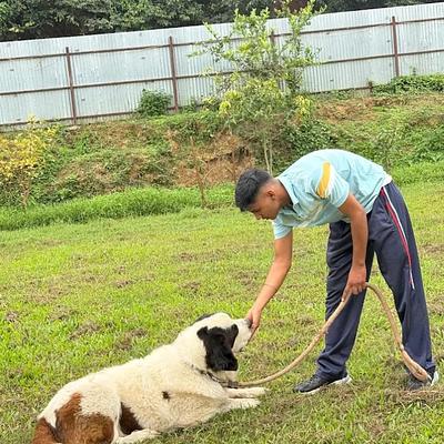 Elite K9 Academy ( india )