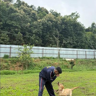 Elite K9 Academy ( india )