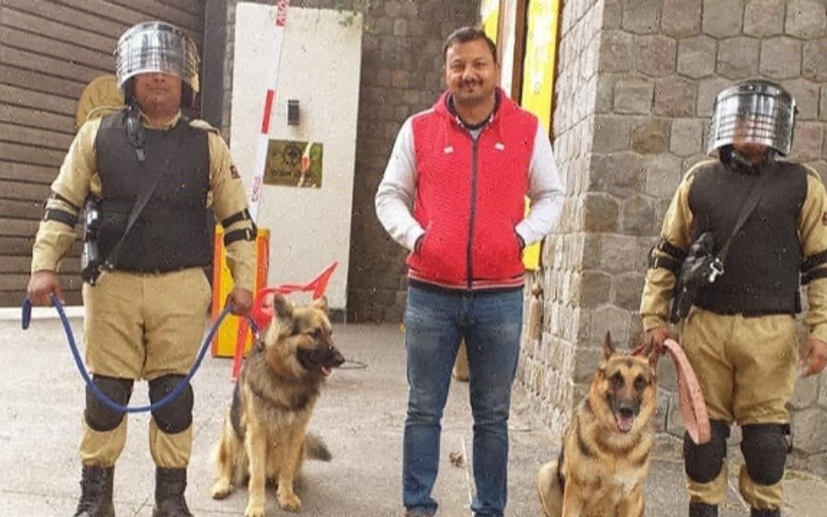 Pet Lovers Hut - Dog Trainer