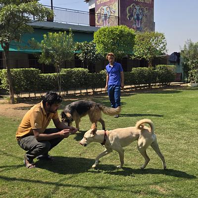 Pet Lovers Hut - Dog Trainer