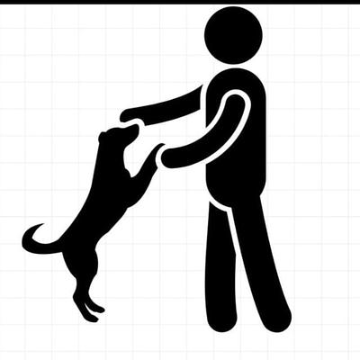 Tiger dog boarding nd training