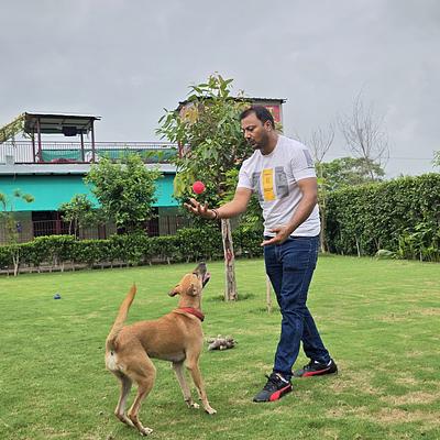 Pet Lovers Hut - Dog Trainer