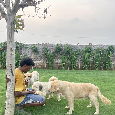 Pet Lovers Hut - Dog Trainer