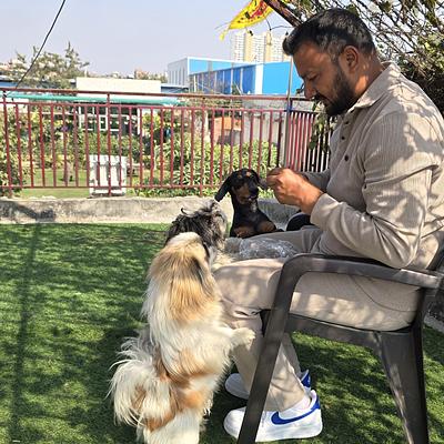 Pet Lovers Hut - Dog Trainer
