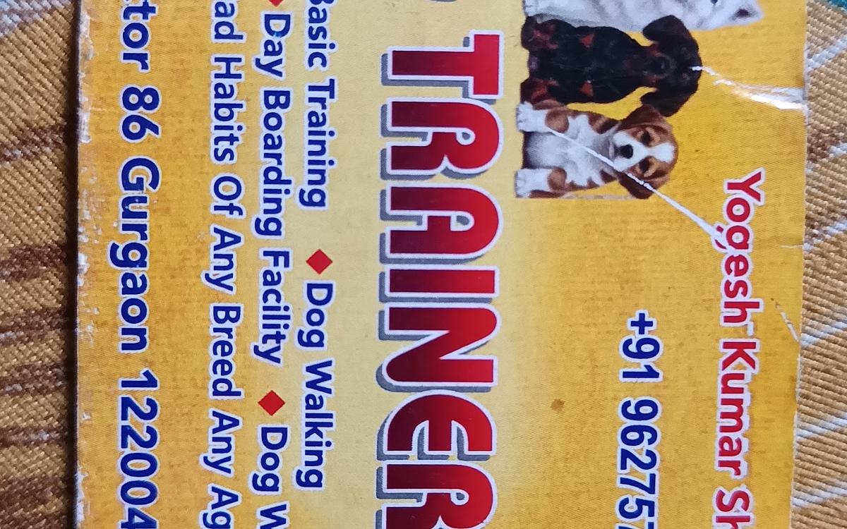 LAKSHYA DOG TRAINING HUB