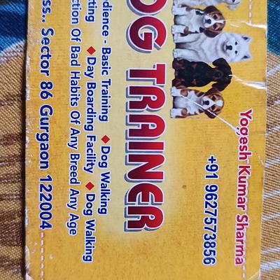 LAKSHYA DOG TRAINING HUB