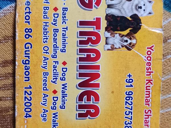 LAKSHYA DOG TRAINING HUB