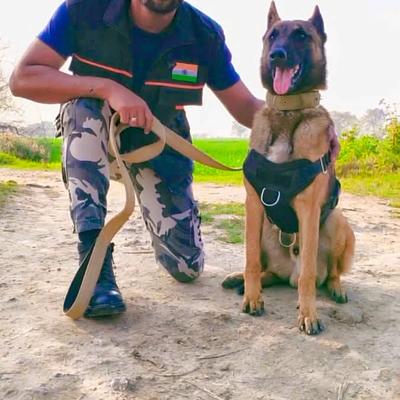 Dog Trainer