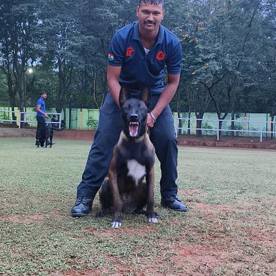 Dog Trainer