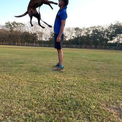 Dog Trainer