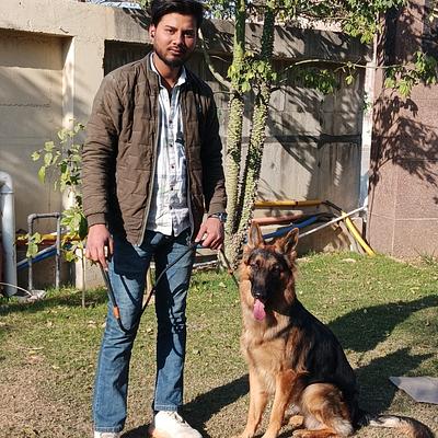 Advanced dog training