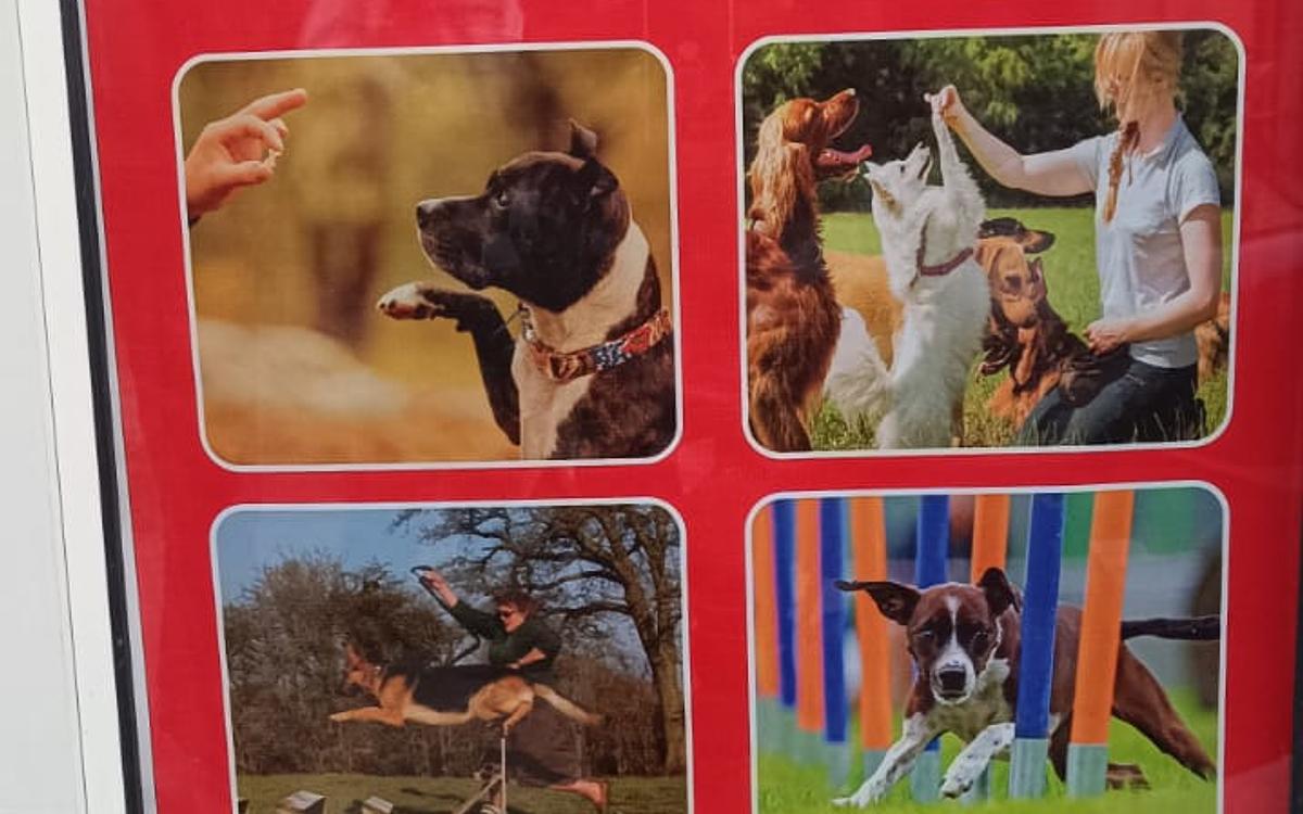 Pet Heart Fit