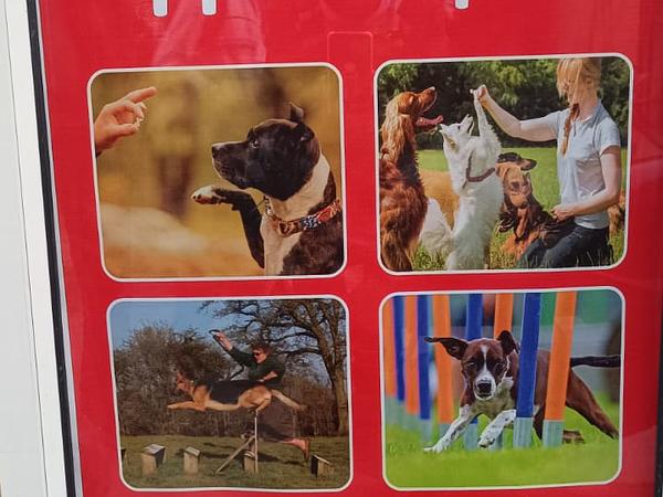 Pet Heart Fit