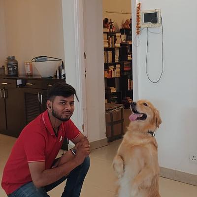 Advanced dog training