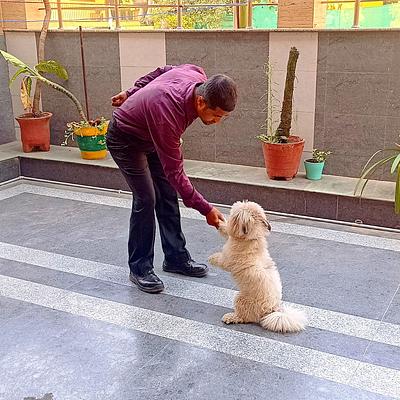 Pet Heart Fit