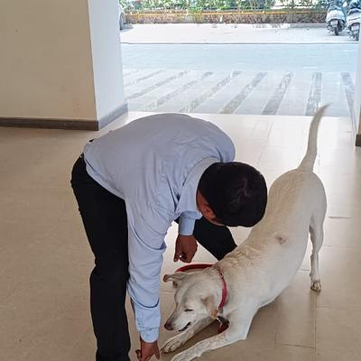 Pet Heart Fit
