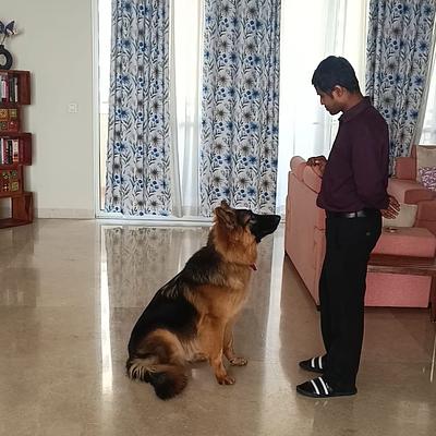 Pet Heart Fit
