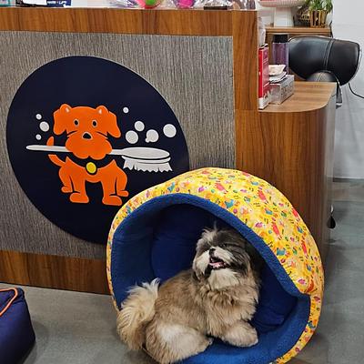 Petriever - Pet Clinic, Pet Grooming & Spa, Pet Store