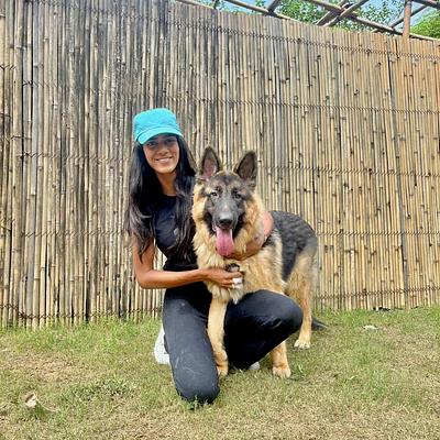 Canine Conditioning