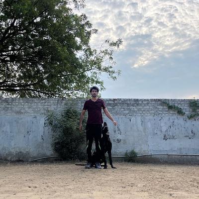 Canine Conditioning