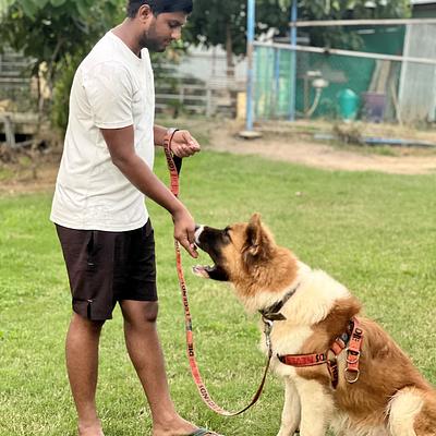Sunil dog trainer