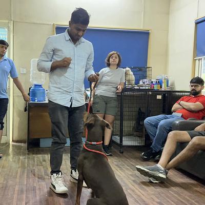 Sunil dog trainer
