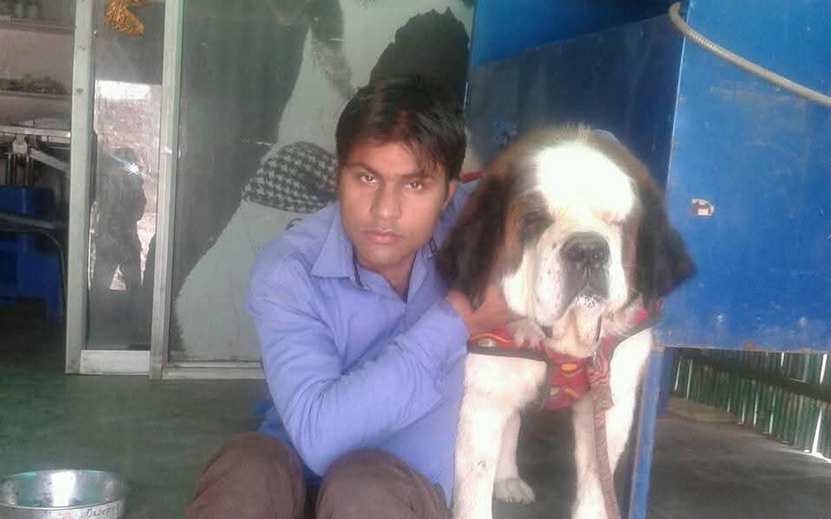 Manoj sharma dog trainer and walkers